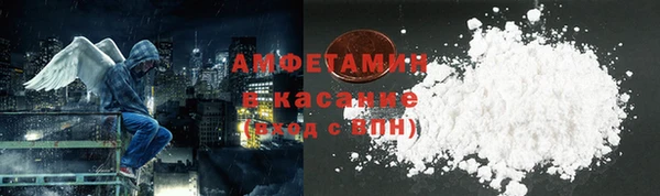 сатива Корсаков