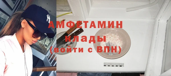 сатива Корсаков