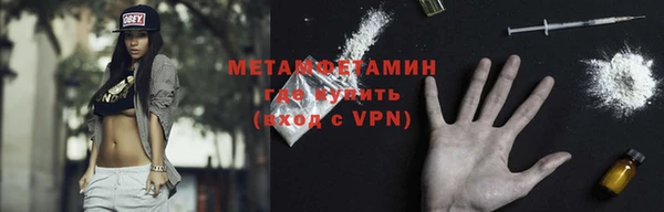 сатива Корсаков