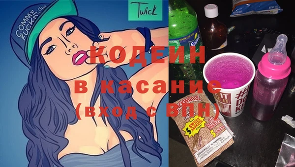 сатива Корсаков