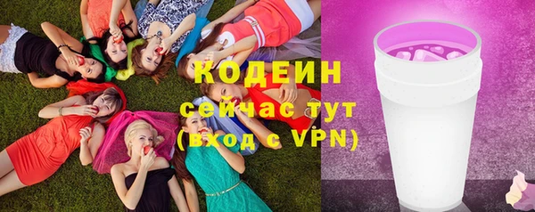 сатива Корсаков