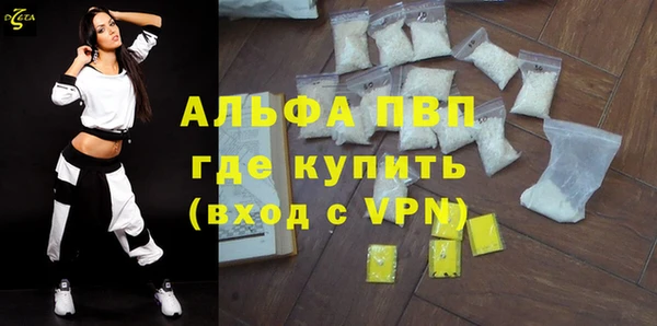 сатива Корсаков
