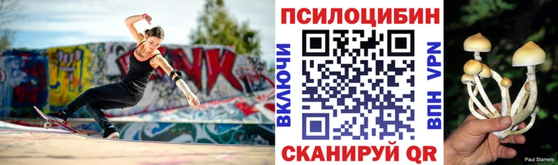 где можно купить наркотик  Починок  Галлюциногенные грибы Cubensis 