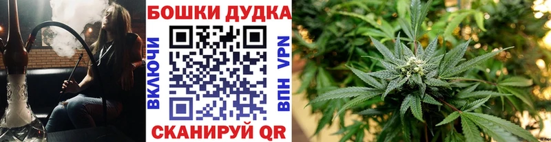 наркота  Починок  Марихуана White Widow 